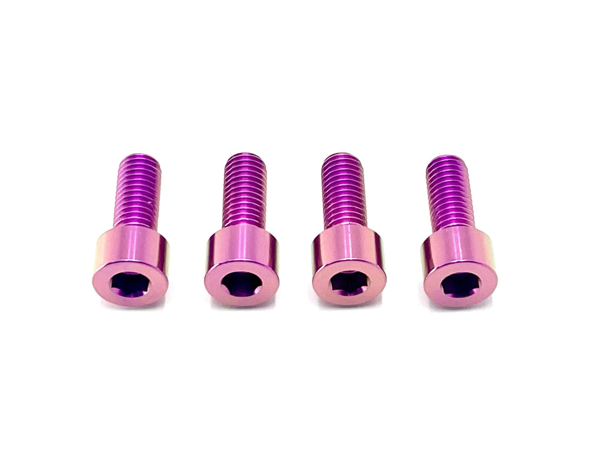 Titanium Bash Guard/ Skid Plate Bolts - Surron LBX/ Ultra Bee and E-Ride Pro