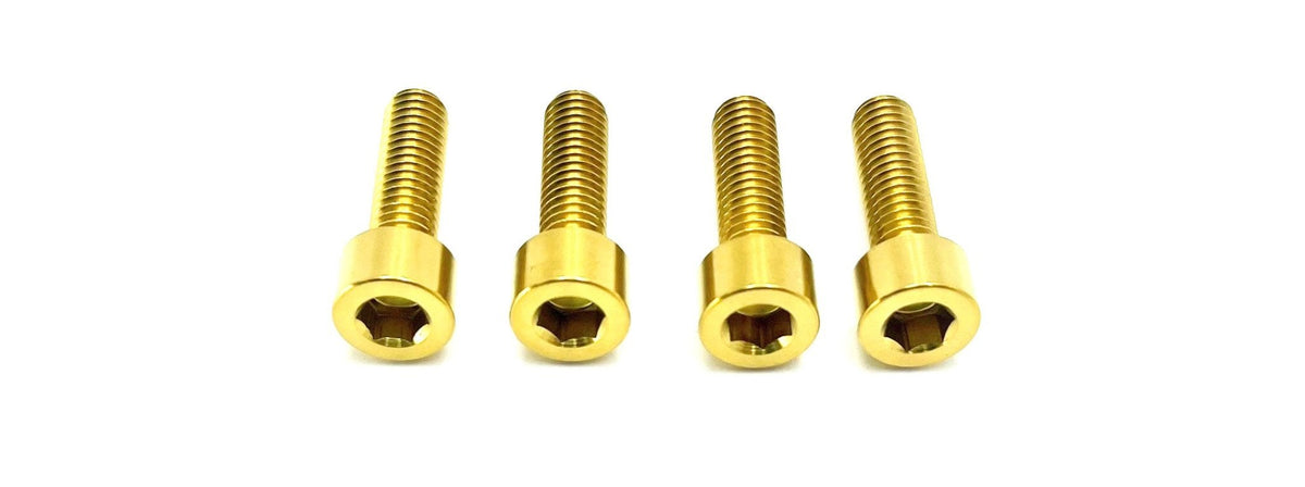 AHX12RV (Gravitee) FastAce Fork Titanium Axle Pinch Bolts
