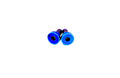 Titanium Battery Lid Bolts - E-Ride Pro -  (Two Pcs)