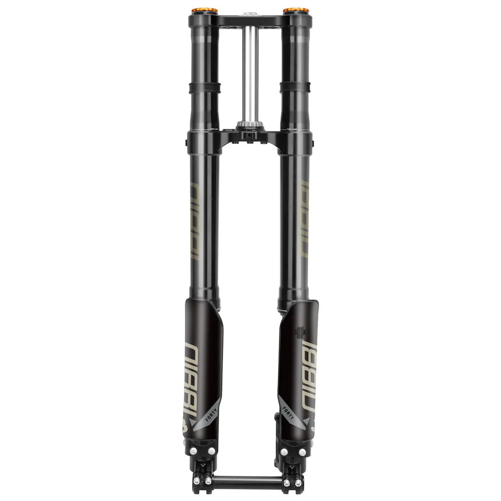 Nibbi 38mm Dual Spring Fork