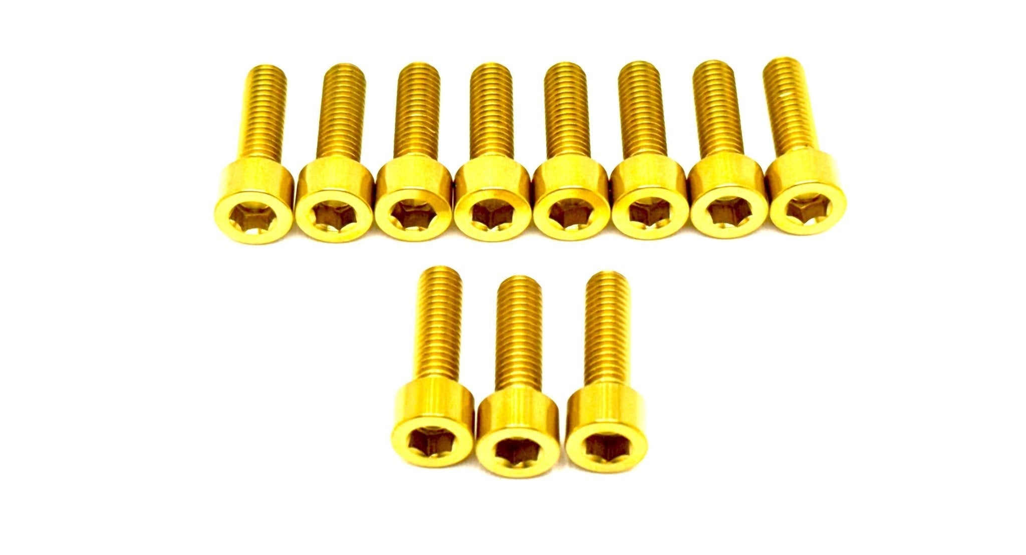 RST Fork Titanium Bolt Kit